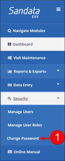 Sandata EVV Change Password tab