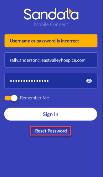 Reset Password using Email 