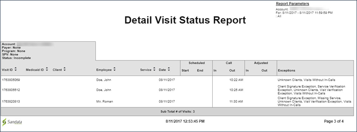 Detail Visit Status report example, with personal information blurred.