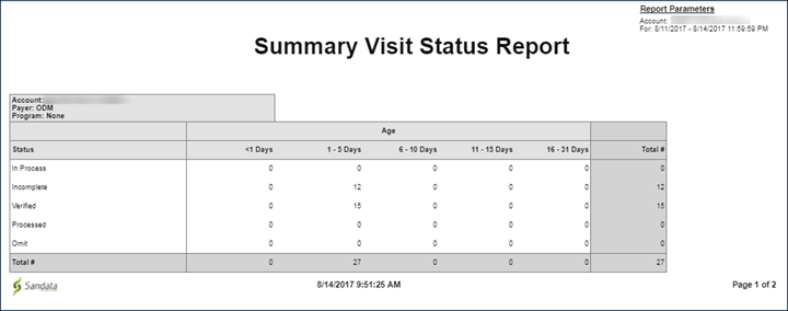 Summary Visit Status report example, with personal information blurred.